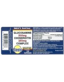 GLUCOSAMINE/CHONDROITIN